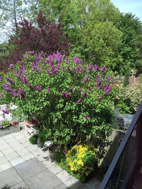 Delft Blue Dreams Bed And Breakfast Quarto foto